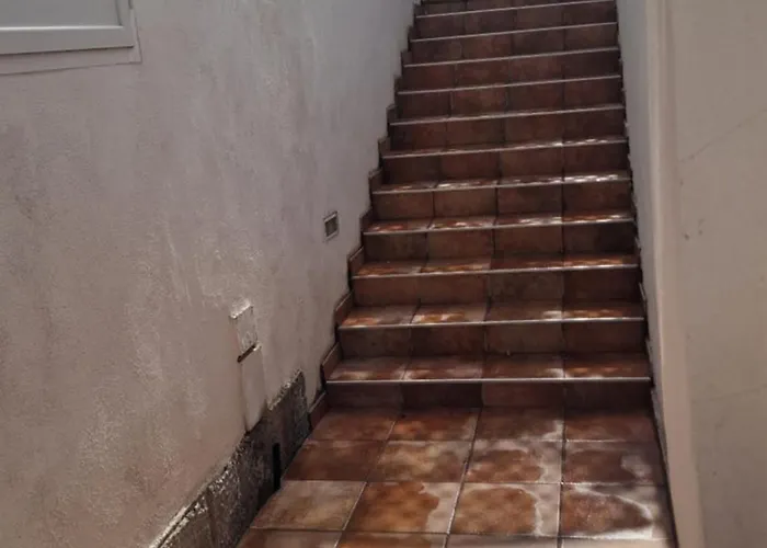 Casa Zoe Apartament *